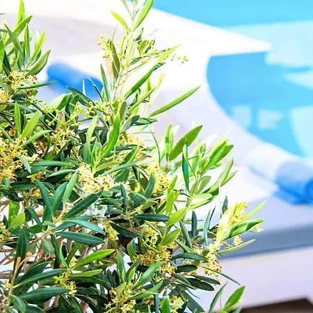 Garden Heated Pool